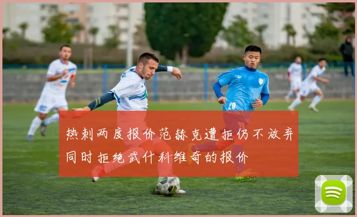 热刺两度报价范赫克遭拒仍不放弃同时拒绝武什科维奇的报价