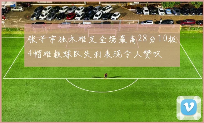 张子宇独木难支全场最高28分10板4帽难救球队失利表现令人赞叹