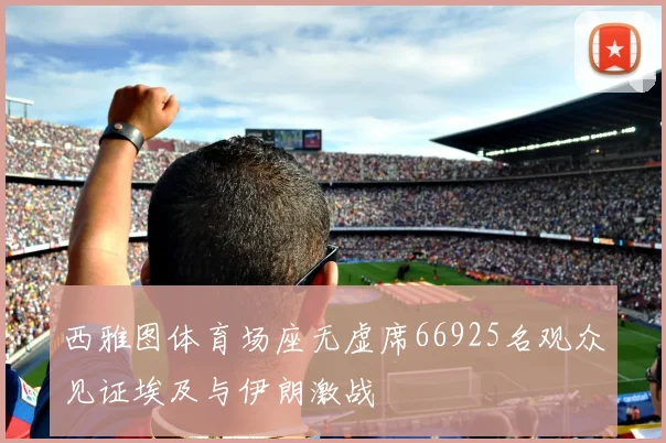 西雅图体育场座无虚席66925名观众见证埃及与伊朗激战